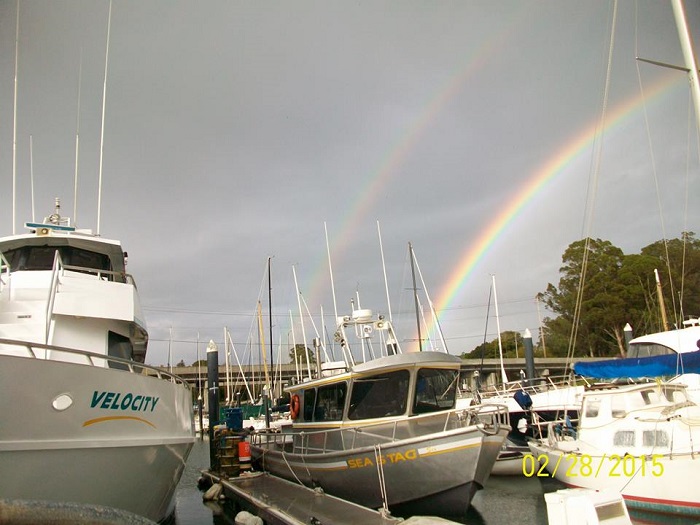 Velociy & Rainbow after Whale Watching in Monterey Bay California with Stagnaro Charters